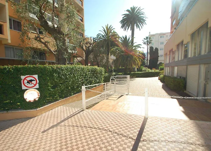 Grand Climatise Avec Alcove Et Terrasse Au Centre De - Fr-1-196-288