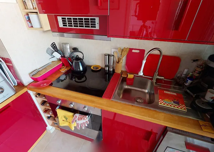 Lägenhet Grand Climatise Avec Alcove Et Terrasse Au Centre De - Fr-1-196-288 *